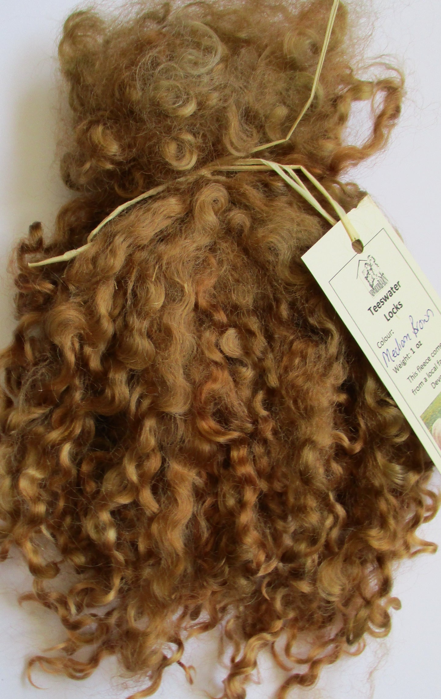 Teeswater Locks in Medium Brown