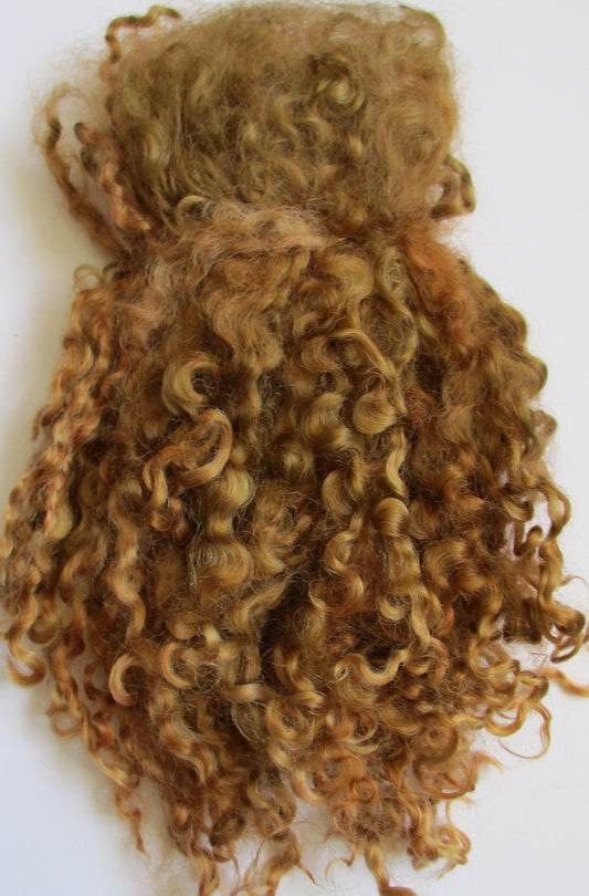 Teeswater Locks in Medium Brown