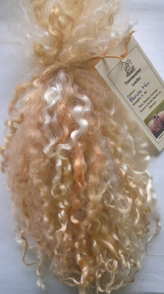 Teeswater Locks in Mixed Blondes