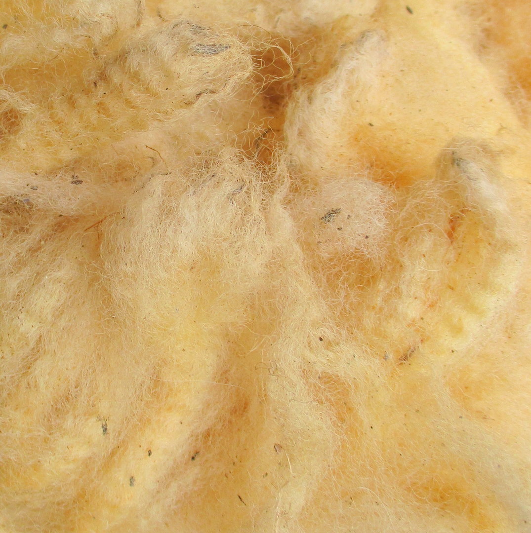 Texal Fleece