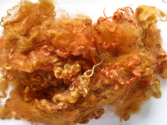 Teeswater Loose Fibre in Toffee Gold