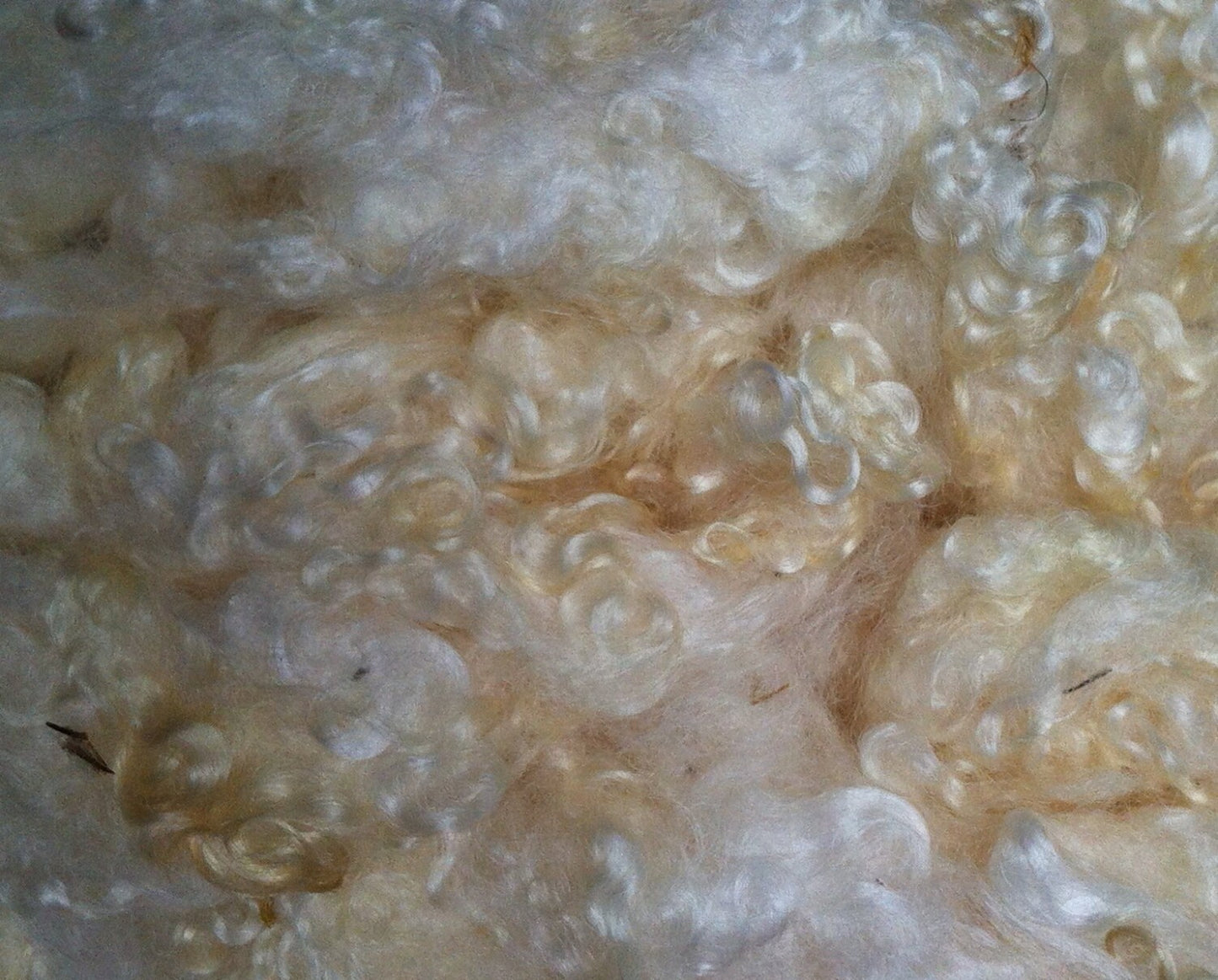 Teeswater Loose Fibre 200g