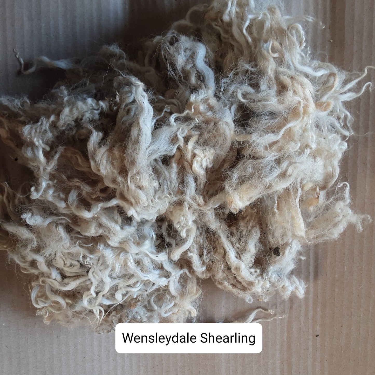 Raw (Unwashed) Long wool Fleece Selection Box 6 X 100g