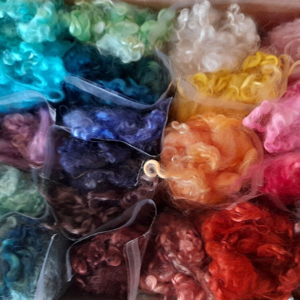 Dyed Teeswater Fleece