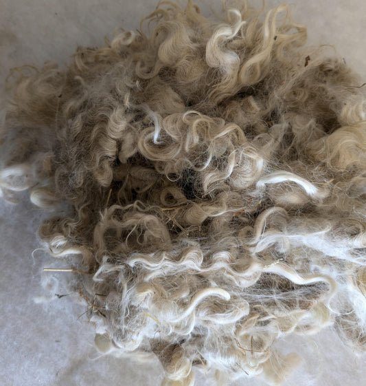 Raw (Unwashed) Mohair Fibre