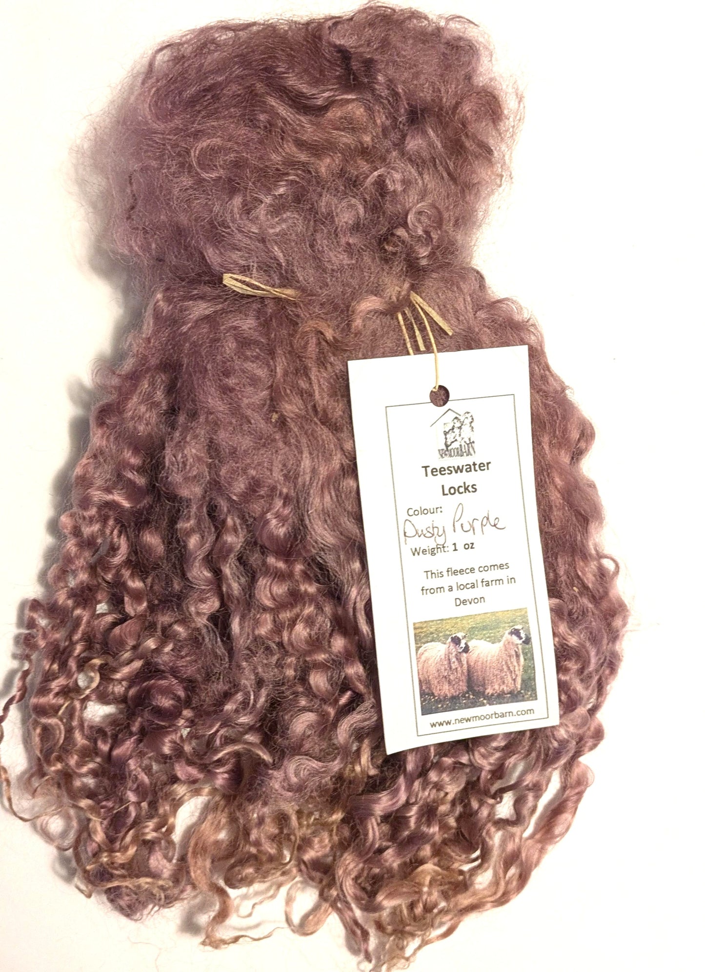 Teeswater Locks in Dusty Purple
