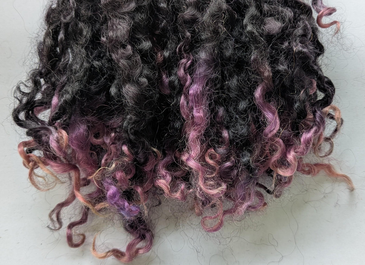 Teeswater Locks in Black with Purple Tips