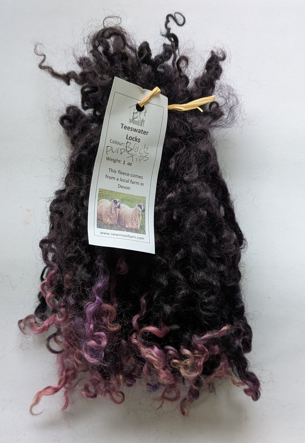 Teeswater Locks in Black with Purple Tips