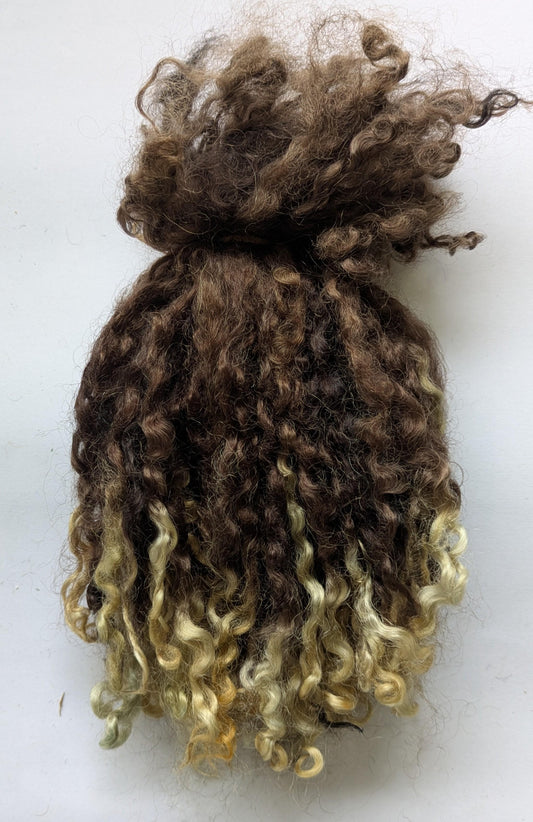 Teeswater Locks in Brown with Blonde Tips