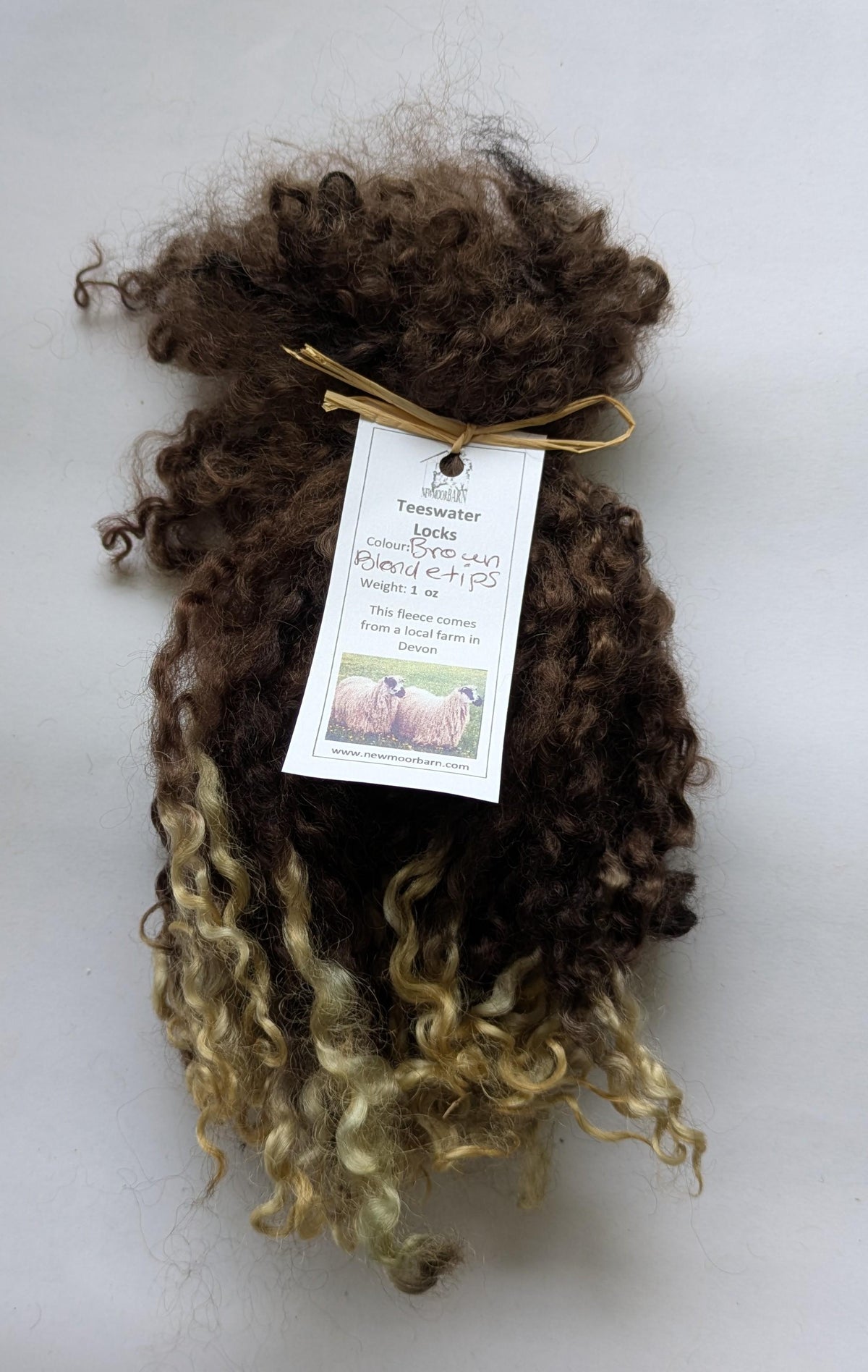 Teeswater Locks in Brown with Blonde Tips