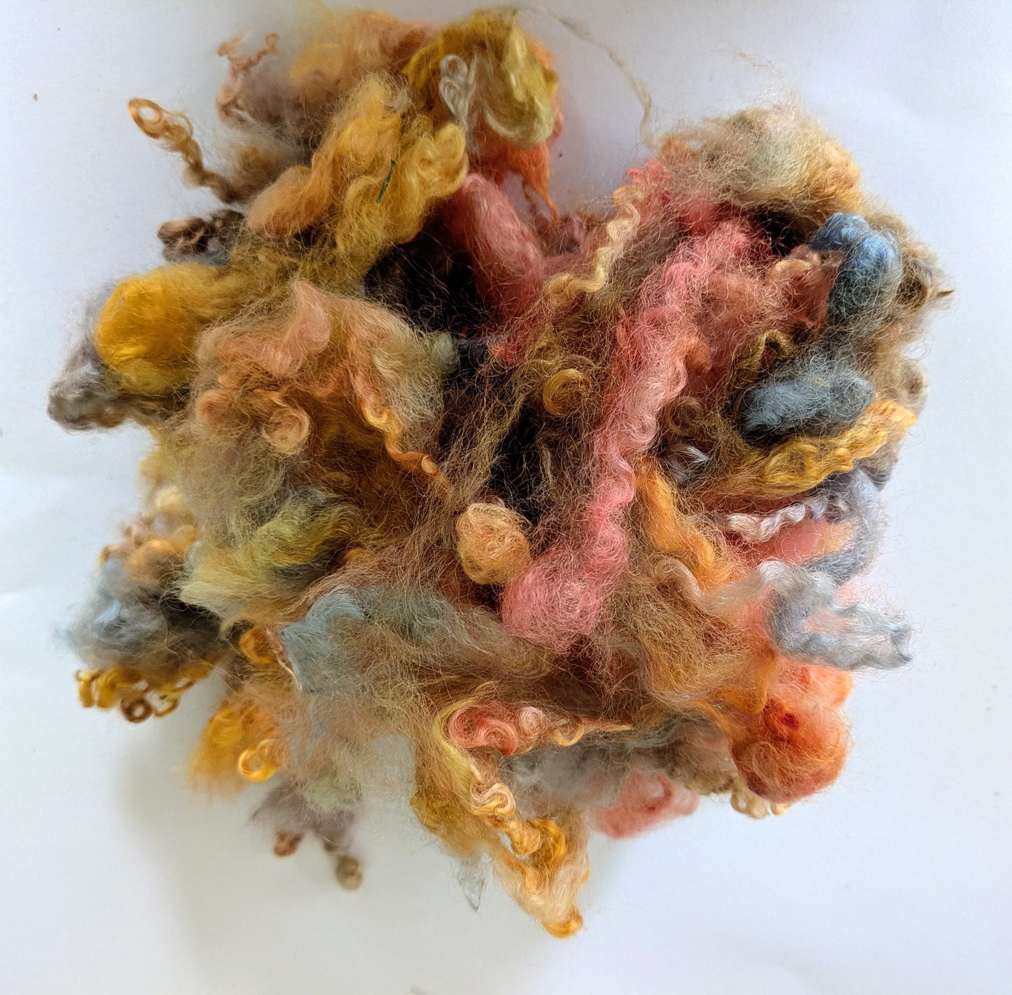 Teeswater Loose Fibre in Autumn Fire
