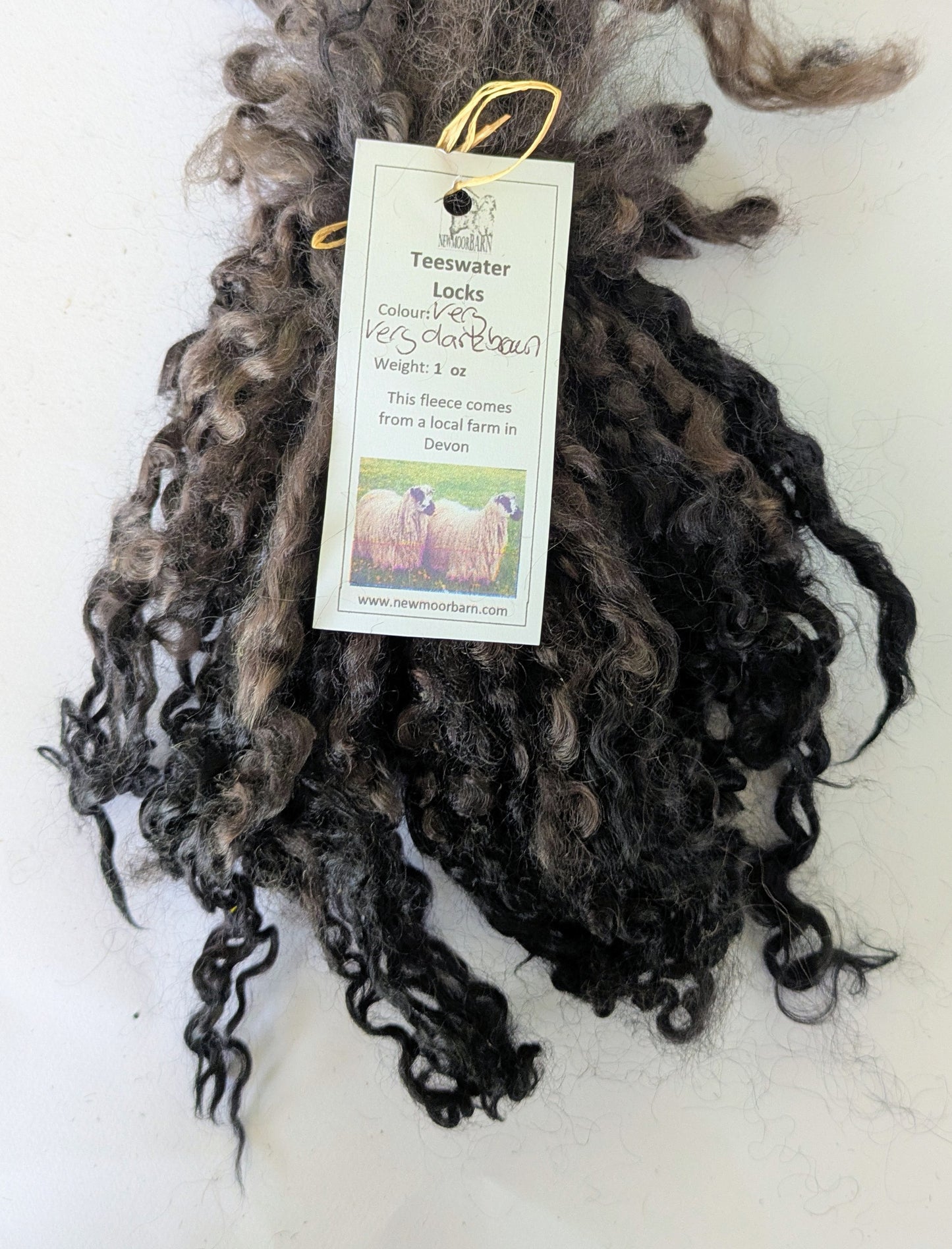 Teeswater Locks in Very Dark Brown to Black