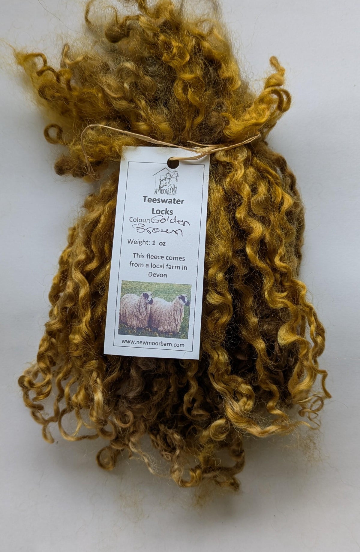 Teeswater Locks in Golden Brown