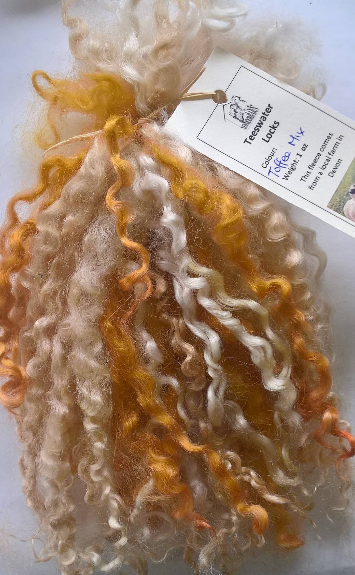 Teeswater Locks in Toffee Mix
