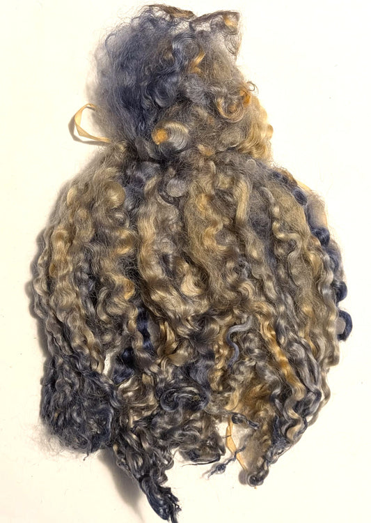 Teeswater Locks in Tortoise Shell