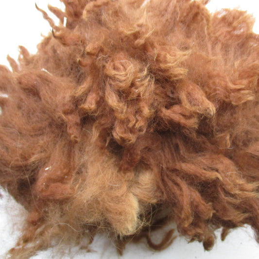 Huacaya Alpaca Brown