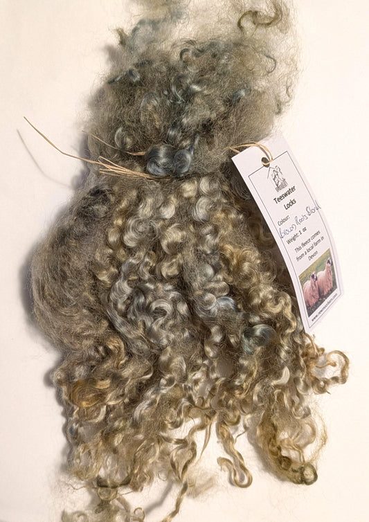 Teeswater Locks in Brown Roots Blonde