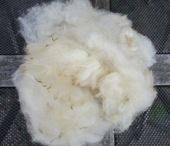 Exmoor Horn Fleece