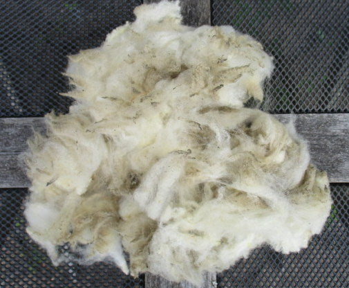 Raw Fleece Selection Box