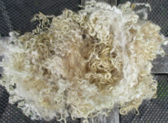 Raw Fleece Selection Box