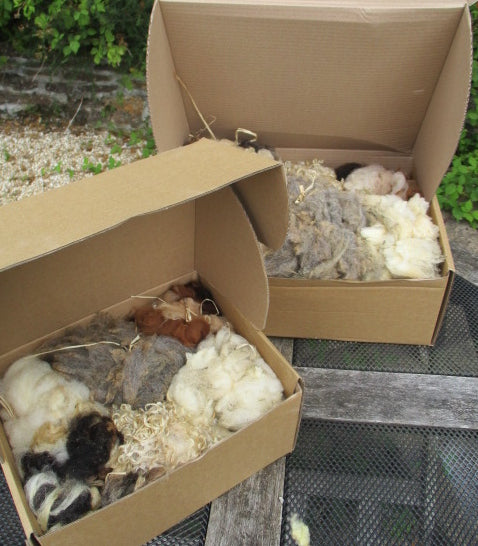 Raw Fleece Selection Box