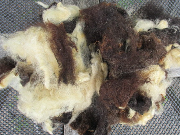 Raw Fleece Selection Box