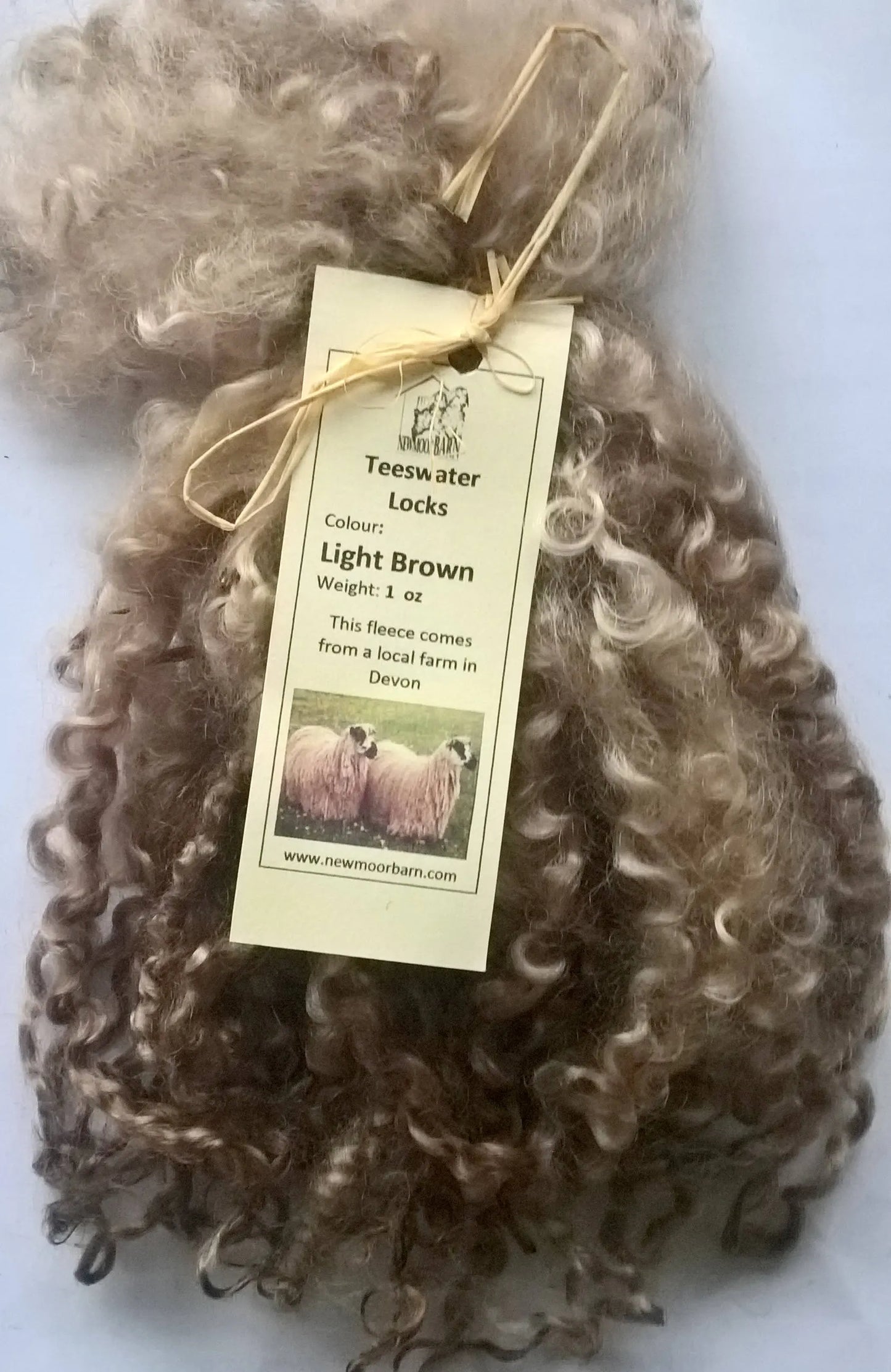 Teeswater Locks in Light Brown