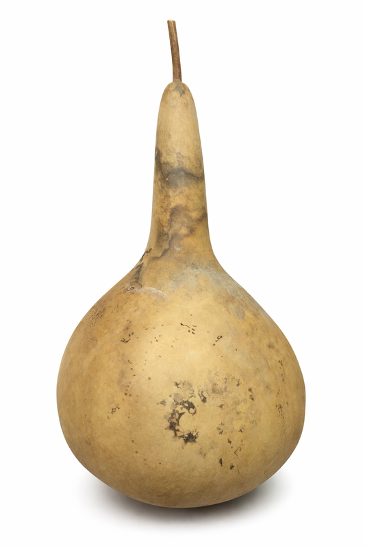 Bottle gourd Seeds Packet of 10