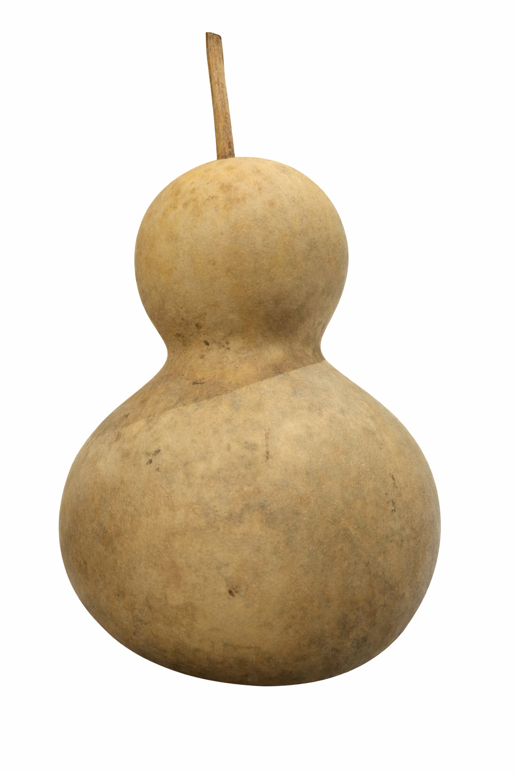 Chinese Bottle gourd Seeds Packet of 10