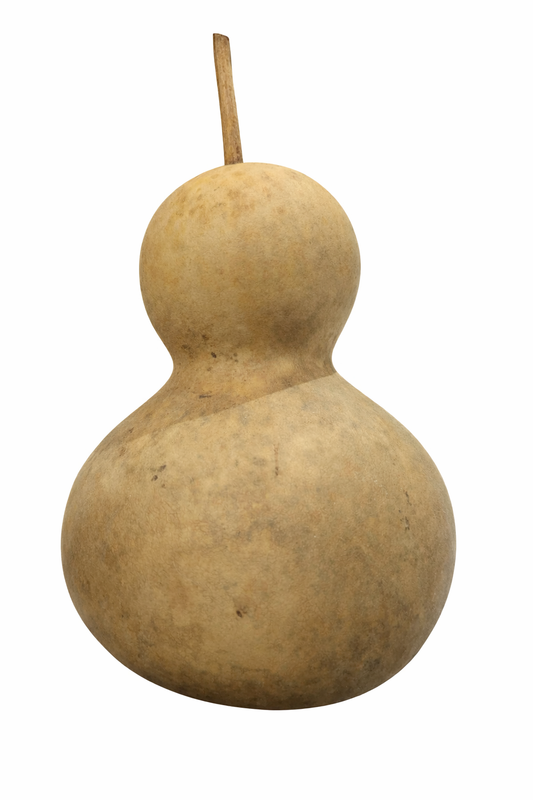 Chinese Bottle gourd Seeds Packet of 10