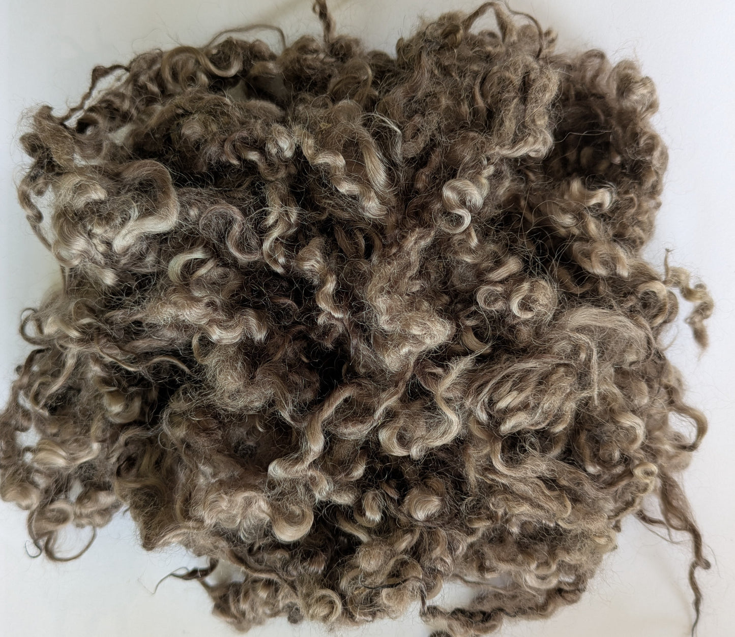 Undyed Teeswater Lamb washed Loose Fibre in chocolate brown