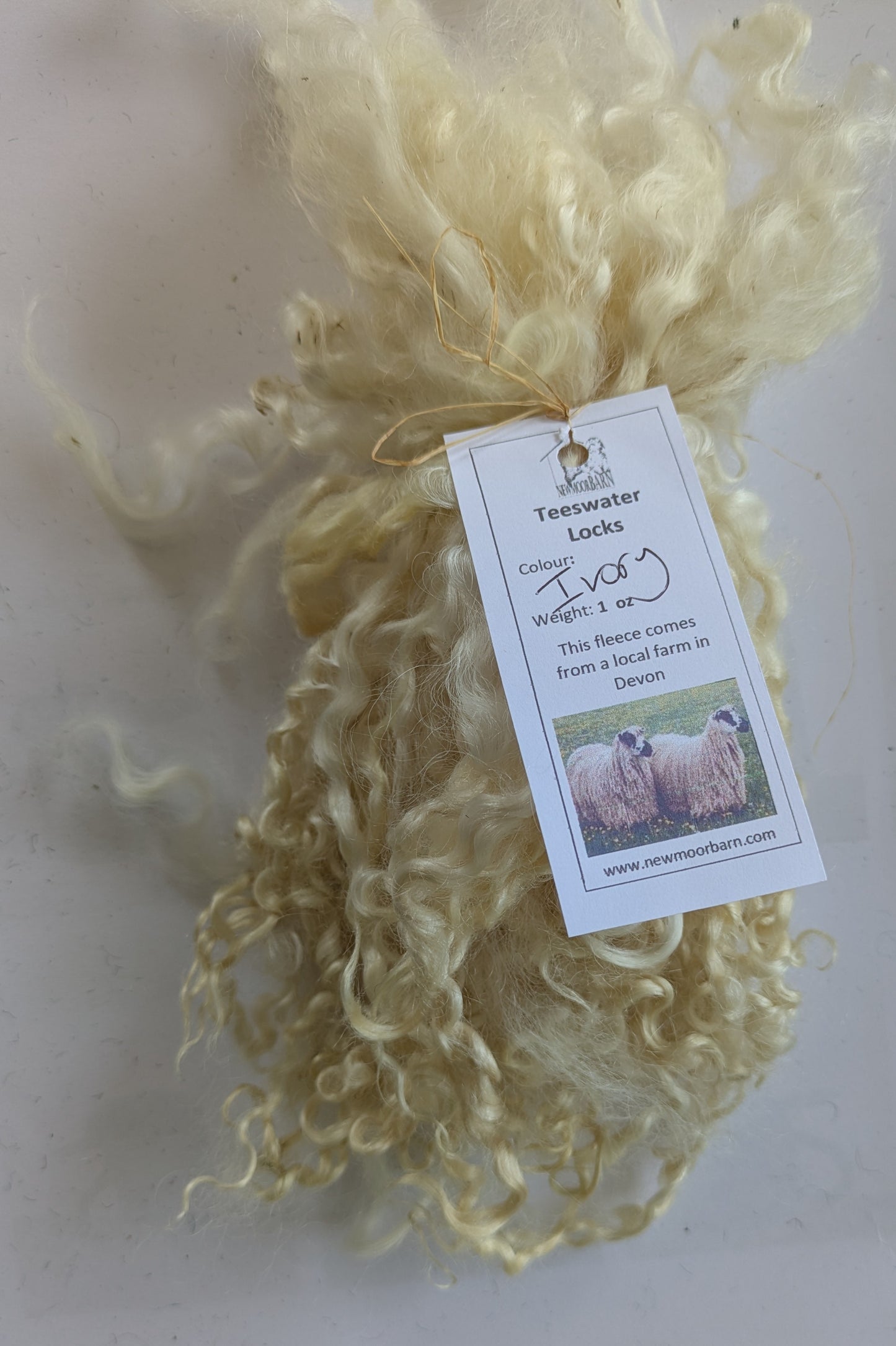Teeswater Locks in undyed Ivory