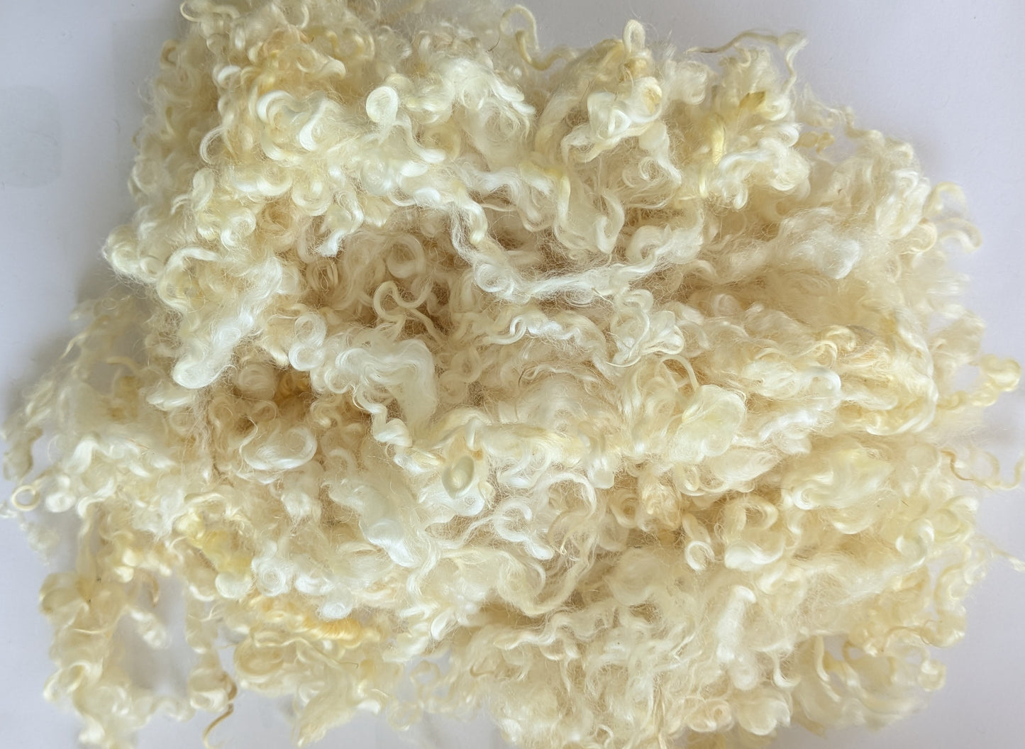 Undyed Teeswater Lamb washed Loose Fibre