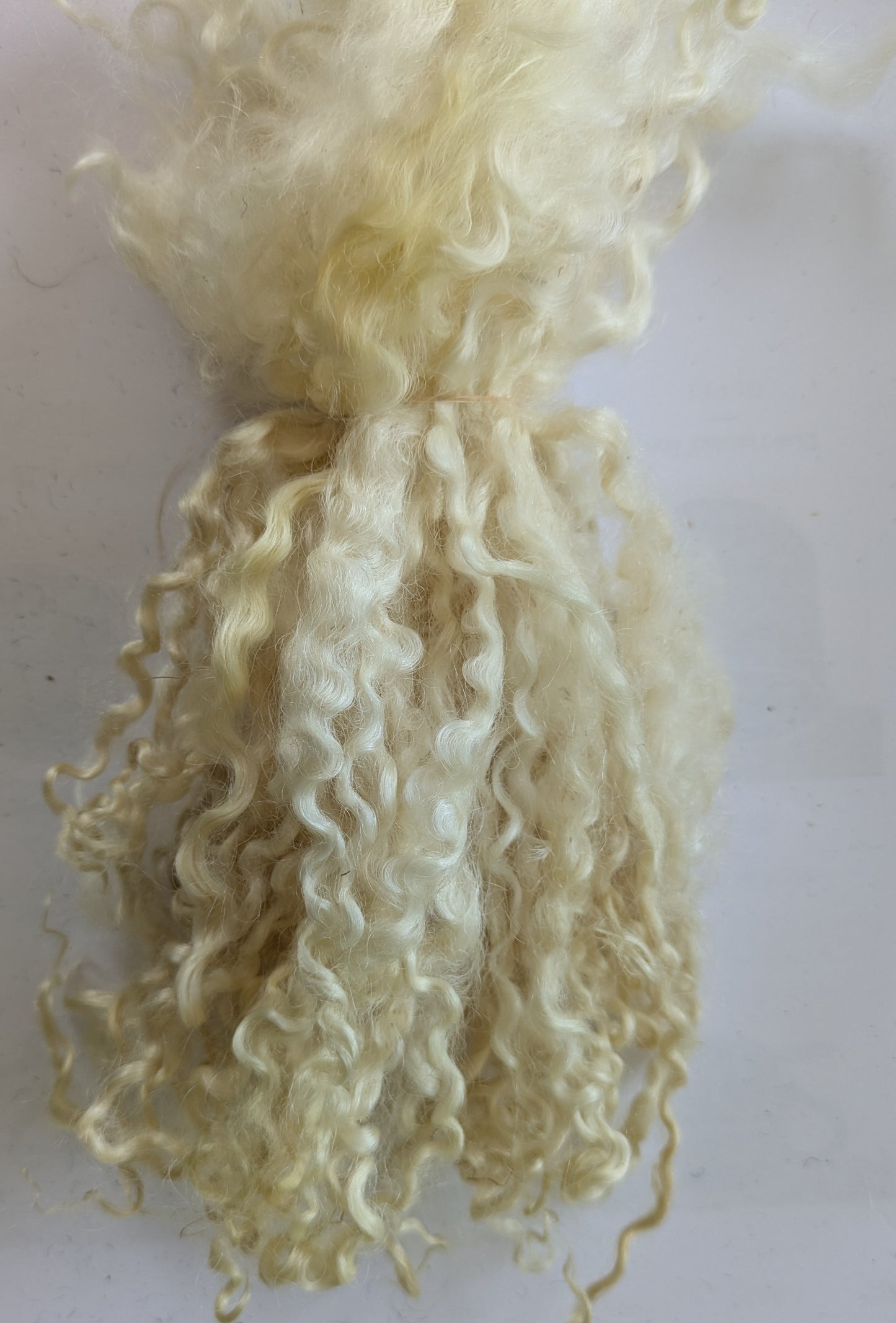 Teeswater Locks in undyed Ivory