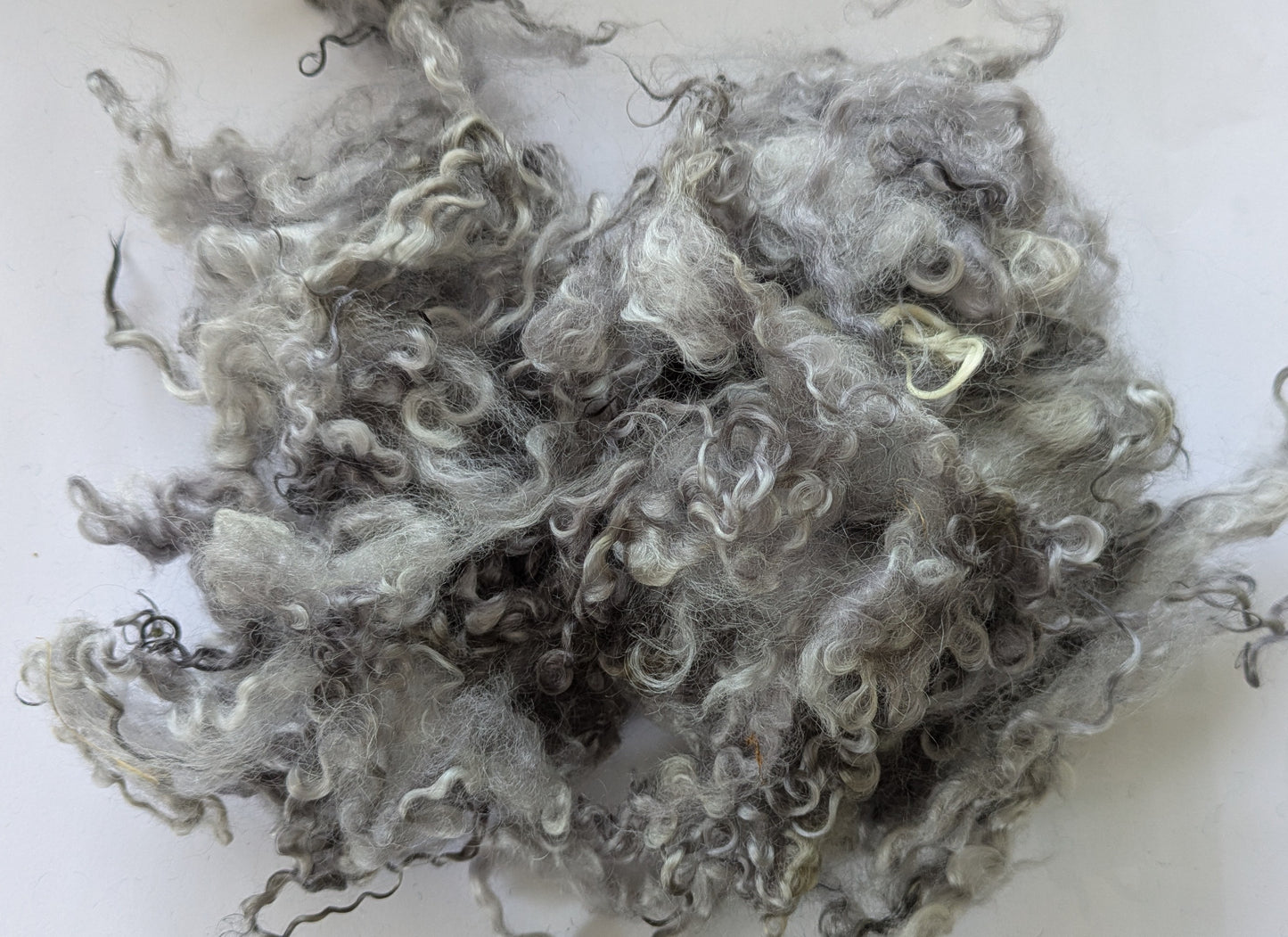 Teeswater Loose Fibre in Silver Grey