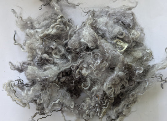 Teeswater Loose Fibre in Silver Grey