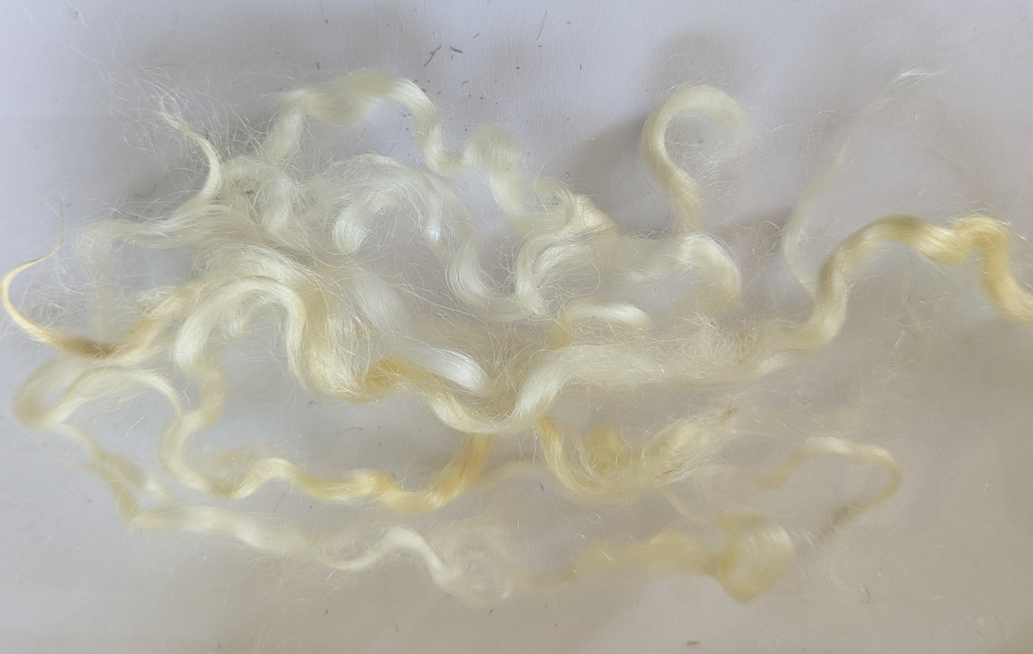 Undyed Teeswater Lamb washed Loose Fibre