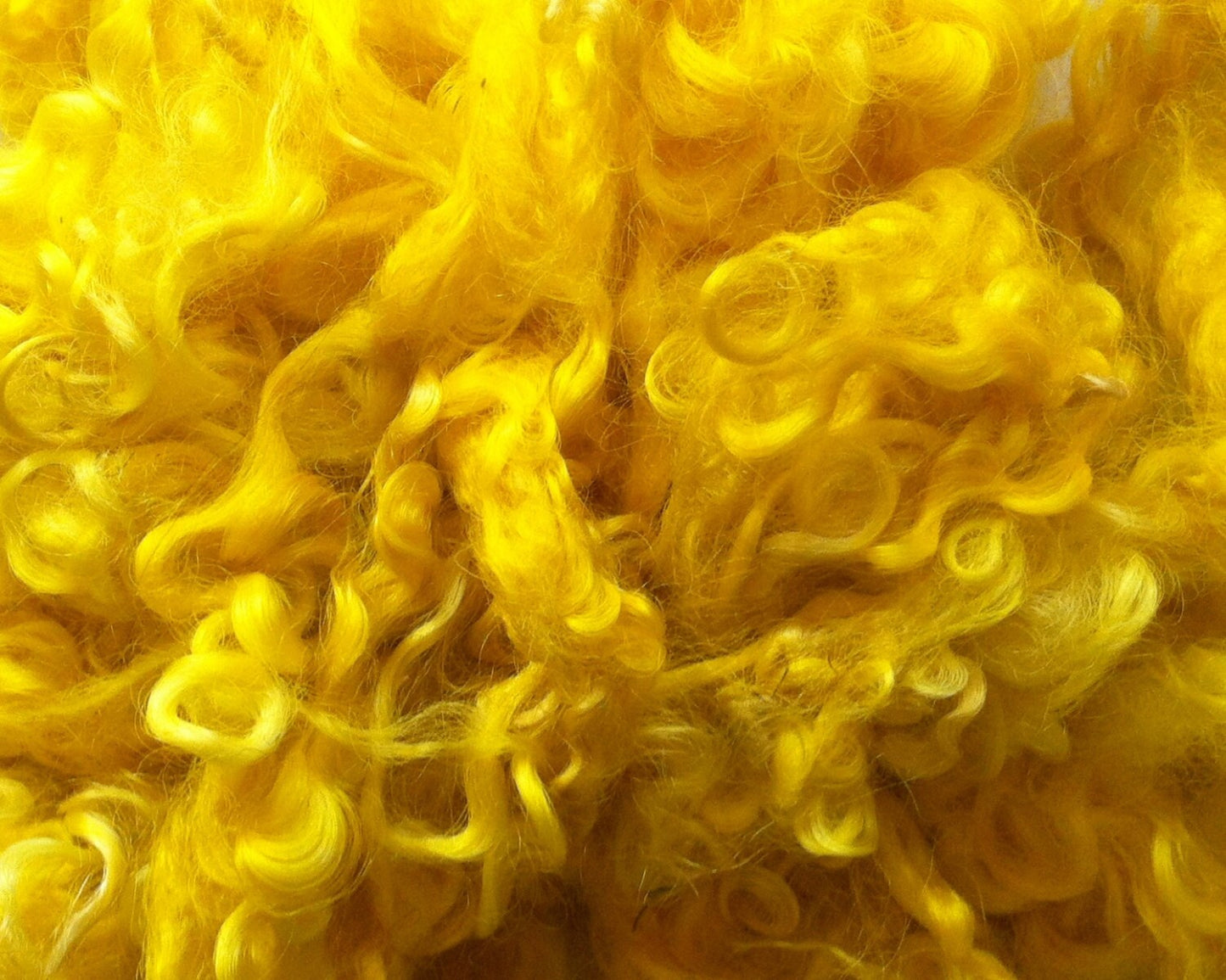 Teeswater Loose Fibre in Yellow